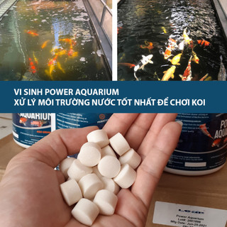 Vi sinh power aquarium giúp xử lý nước cho hồ cá cảnh, cá koi