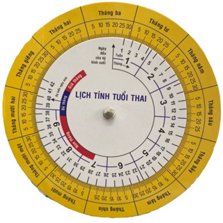 Vòng tính tuổi thai - bảng tính tuổi thai - xoay vòng tròn tính tuổi thai bằng giấy cứng