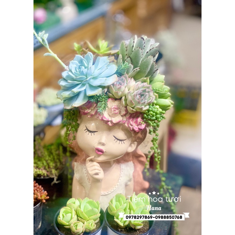 Bình hoa cô gái trang trí cắm hoa khô baby decor nhiều màu sắc, làm quà tặng