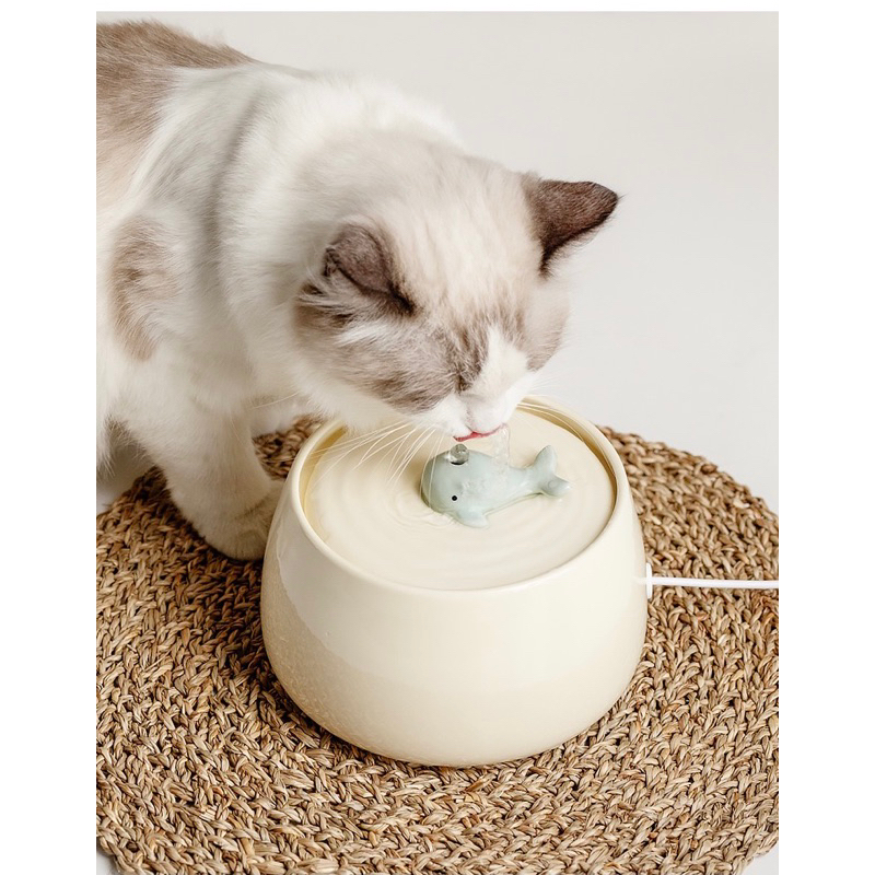 Máy lọc nước cho chó mèo kèm bát ăn gốm sứ cao cấp ✨✨