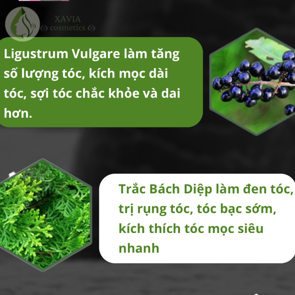 Tinh chất kích thích mọc tóc NEO HAIR LOTION, kích mọc tóc Nhanh - Khỏe - An toàn, Dung tích 120ml - XAVIA COSMETICS
