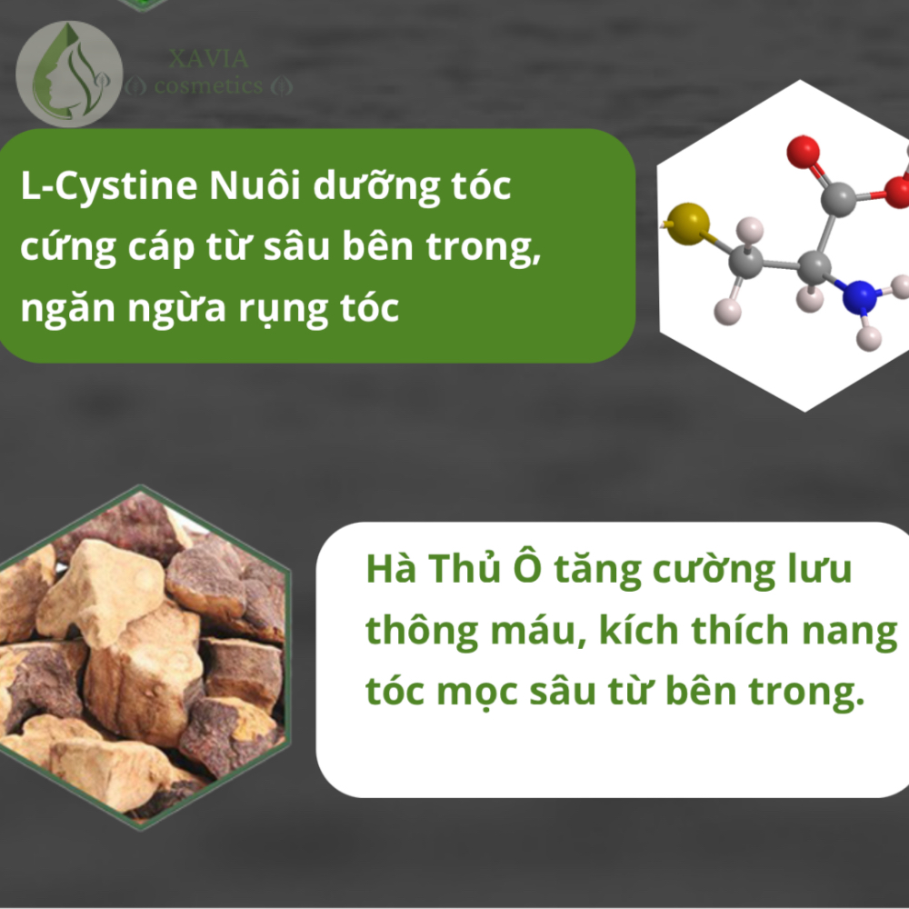 Tinh chất kích thích mọc tóc NEO HAIR LOTION, kích mọc tóc Nhanh - Khỏe - An toàn, Dung tích 120ml - XAVIA COSMETICS