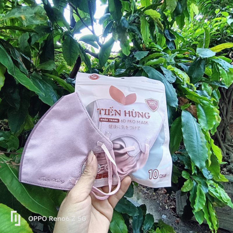 Khẩu trang 6d Tiến Hùng