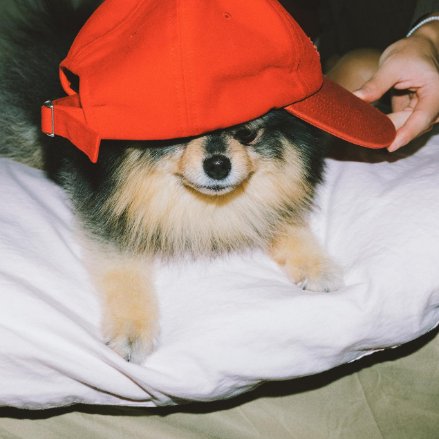 Sum.mer30 -  Set 8 card bo góc V Layover