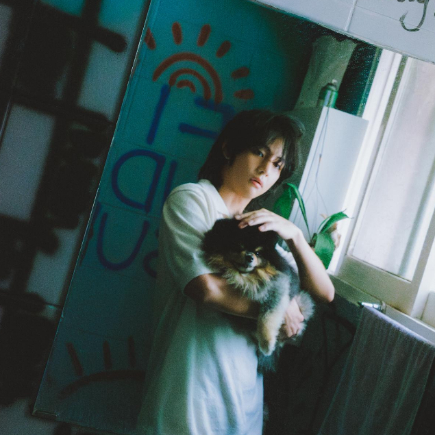 Sum.mer30 -  Set 8 card bo góc V Layover