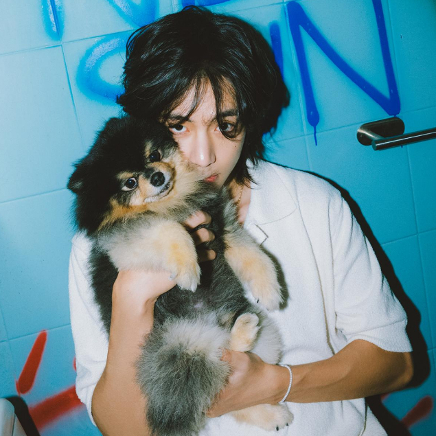 Sum.mer30 -  Set 8 card bo góc V Layover