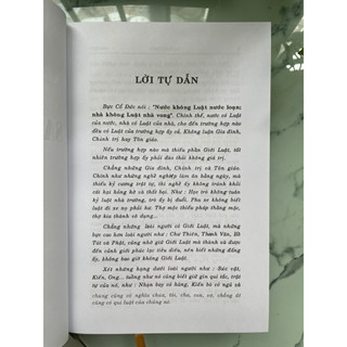 Sách - Sai Di Luật Giải (bìa cứng)