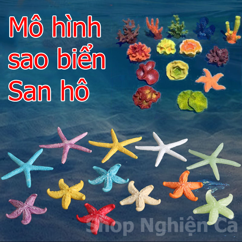 Mô hình sao biển, san hô trang trí decor bể cá cảnh, thủy sinh, bể cá biển - phụ kiện đồ chơi trang trí bể cá
