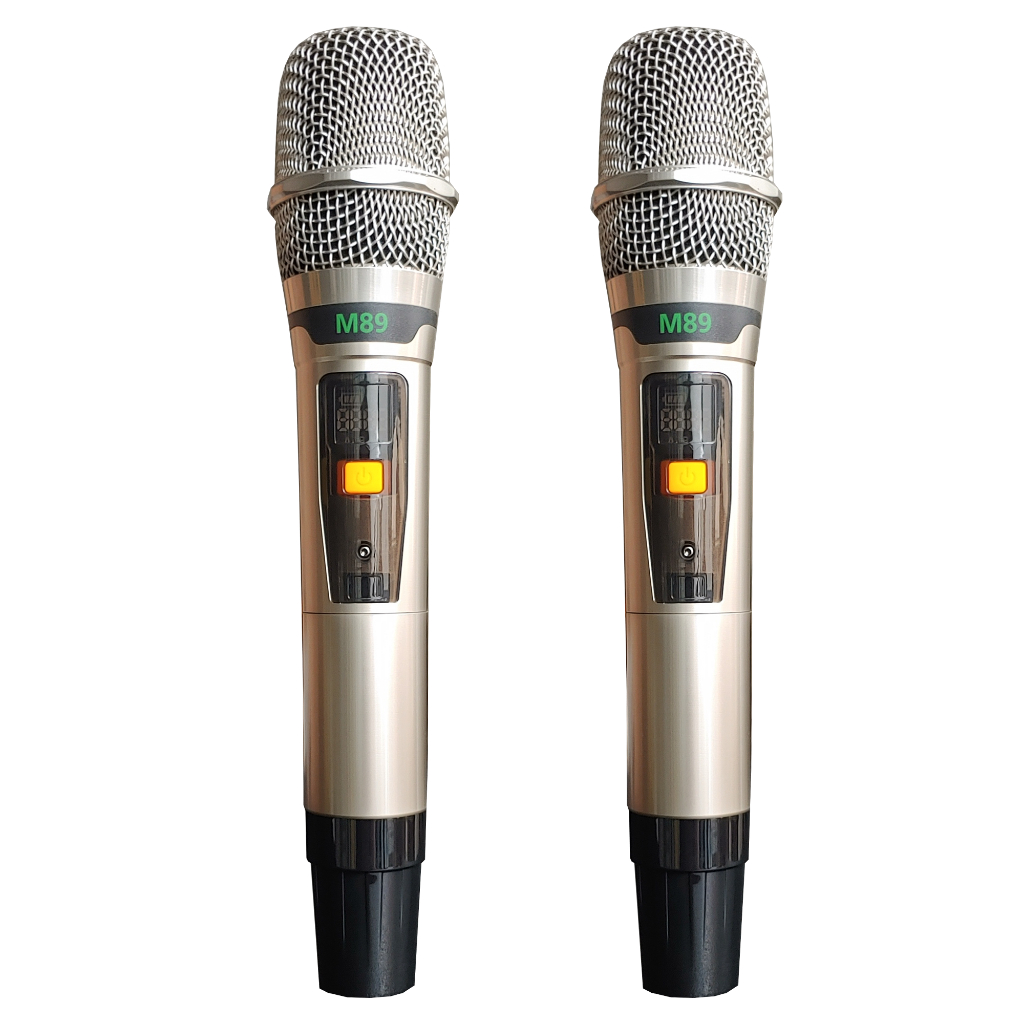 Loa kéo Best 6910 | Bass 5 Tấc ,Kèm 2 Micro