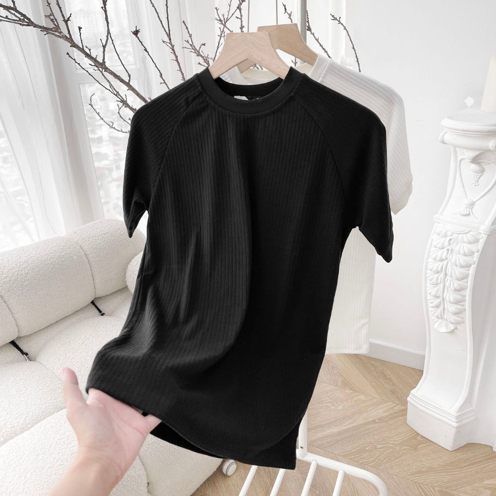 Áo thun cổ tròn Sunhy vải thun gân form slimfit dày dặn, mềm mại ATSH01