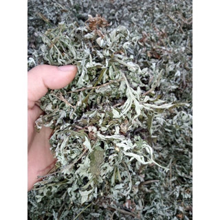1kg ngải cứu khô ,sạch sẽ loại 1