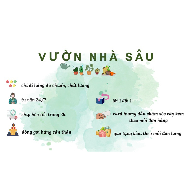 Zym lem Thái Lan-Vườn nhà Sâu