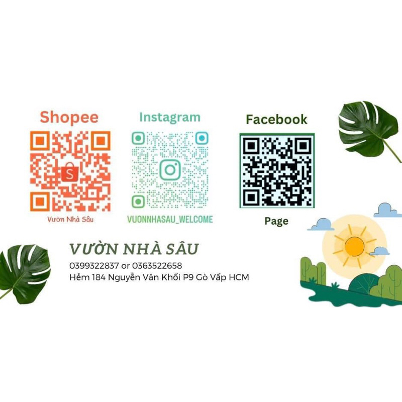 Zym lem Thái Lan-Vườn nhà Sâu