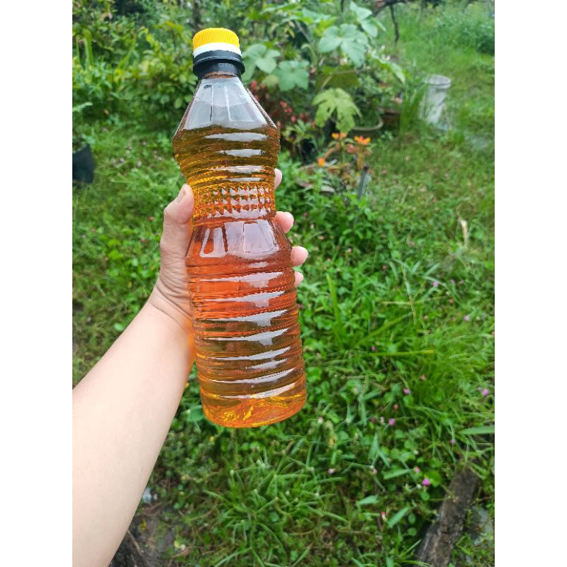 Dầu mè đen
