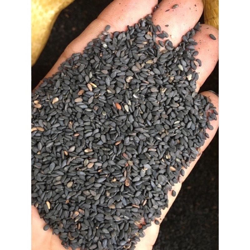 Mè đen loại 1 cho thú cưng