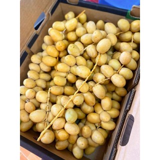 Chà là tươi giòn,ngon -500gr
