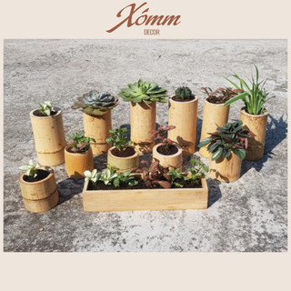 Chậu tre tự nhiên trồng cây, sen đá, tiểu cảnh , decor trang trí vintage, ống tre, khúc tre, cốc tre trồng cây