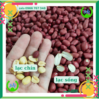 Lạc đỏ rang sẵn - 200gr- lạc bóc tay- đậu phộng bắc