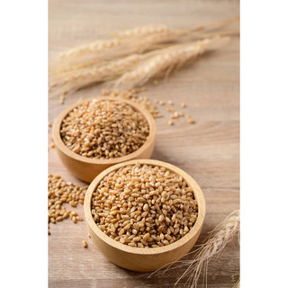 HẠT LÚA MỲ Đã Tách Vỏ Organic 1kg