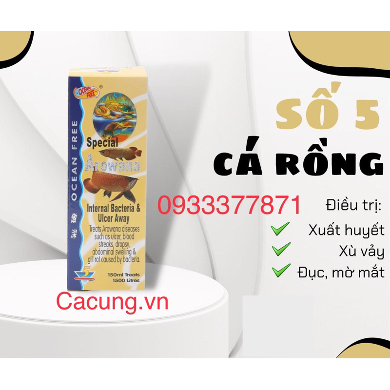 Chai Số 5 cá rồng - xữ lý lở loét, Mờ mắt, Xù Vảy cho cá cảnh (Hàng Công Ty)