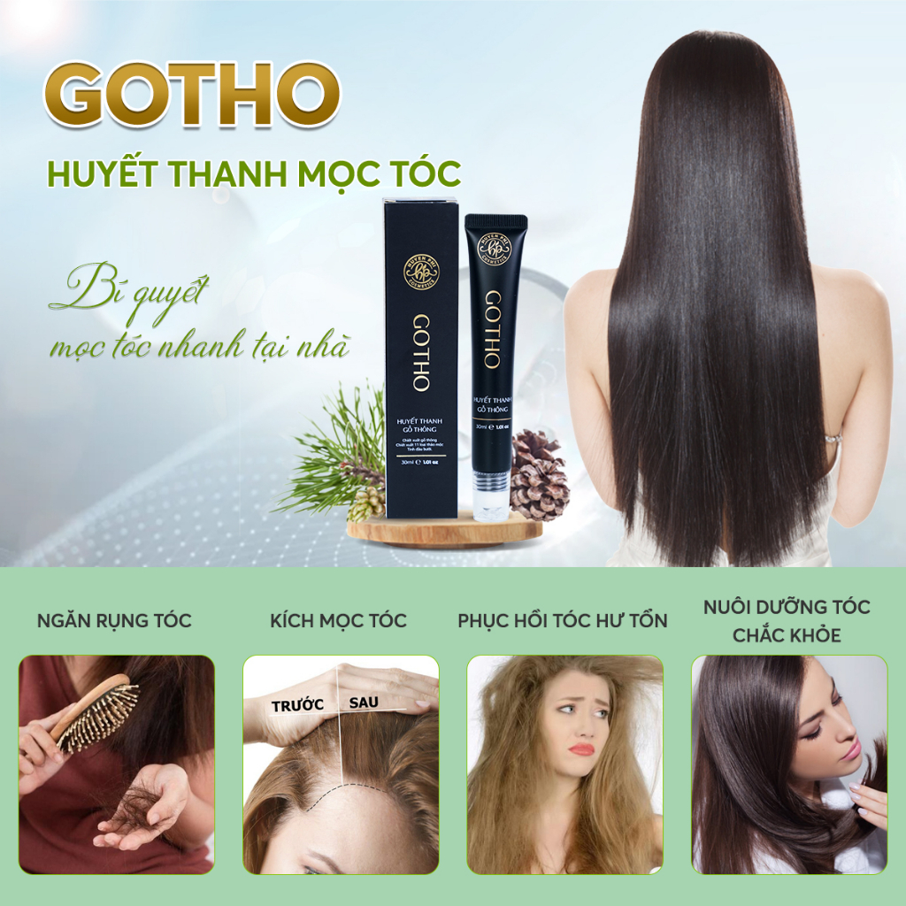 Lăn mọc tóc Gotho Huyền Phi huyết thanh gỗ thông kích mọc tóc