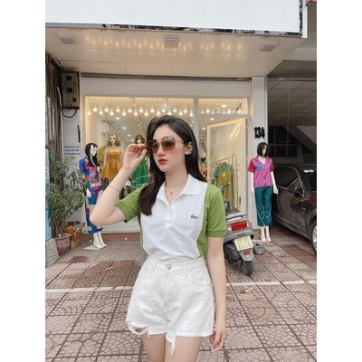 Áo thun polo cổ bẻ cá sấu LC