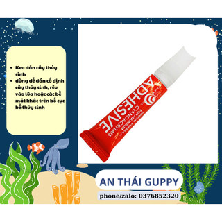 Keo dán cây thủy sinh adhesive