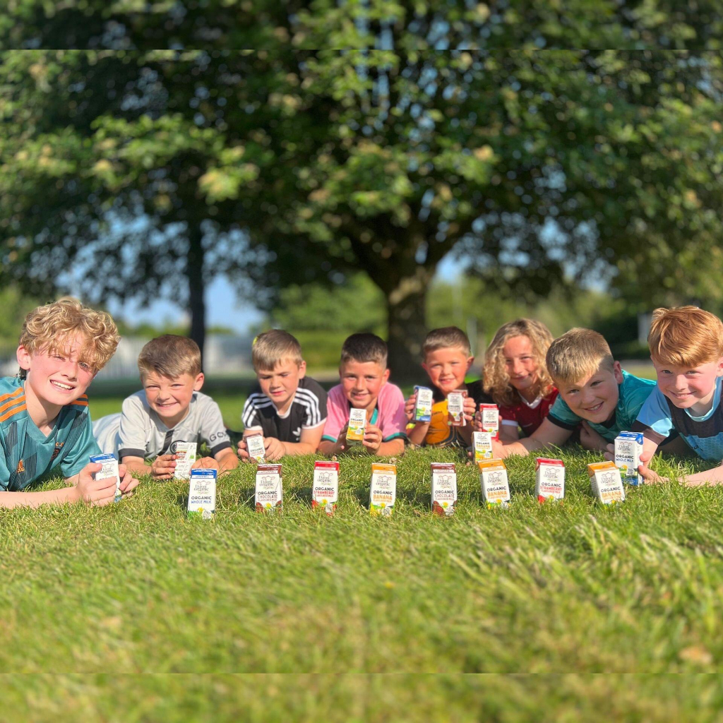 1 hộp Sữa tươi hữu cơ tách béo Daioni 200ml có vị