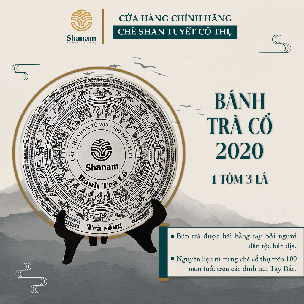 Trà Phổ Nhĩ Sống - Bánh Trà Cổ - Bánh Trà Sống 2020 Yên Bái - 1 Tôm 3 Lá Hộp 300g - Shanam