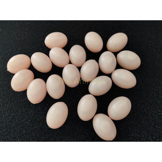 Combo 10 trứng bồ câu hồng. Trứng bồ câu giả