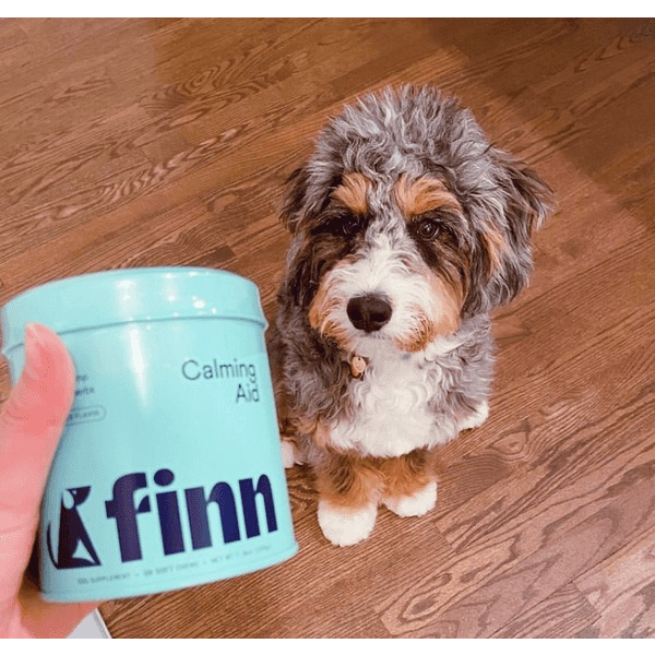 Viên Bổ Nhai Mềm Giảm Căng Thẳng Cho Chó, Finn Calming Aid, Hỗ Trợ Thư Giãn, Ngủ Ngon, Giảm Stress