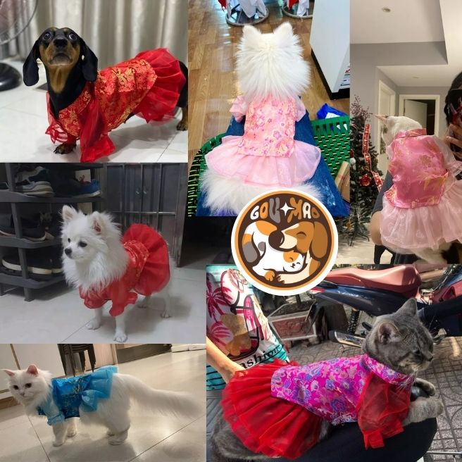 VÁY TẾT SIÊU ĐẸP DÀNH CHO CHÓ MÈO THƯƠNG HIỆU GOUMAO