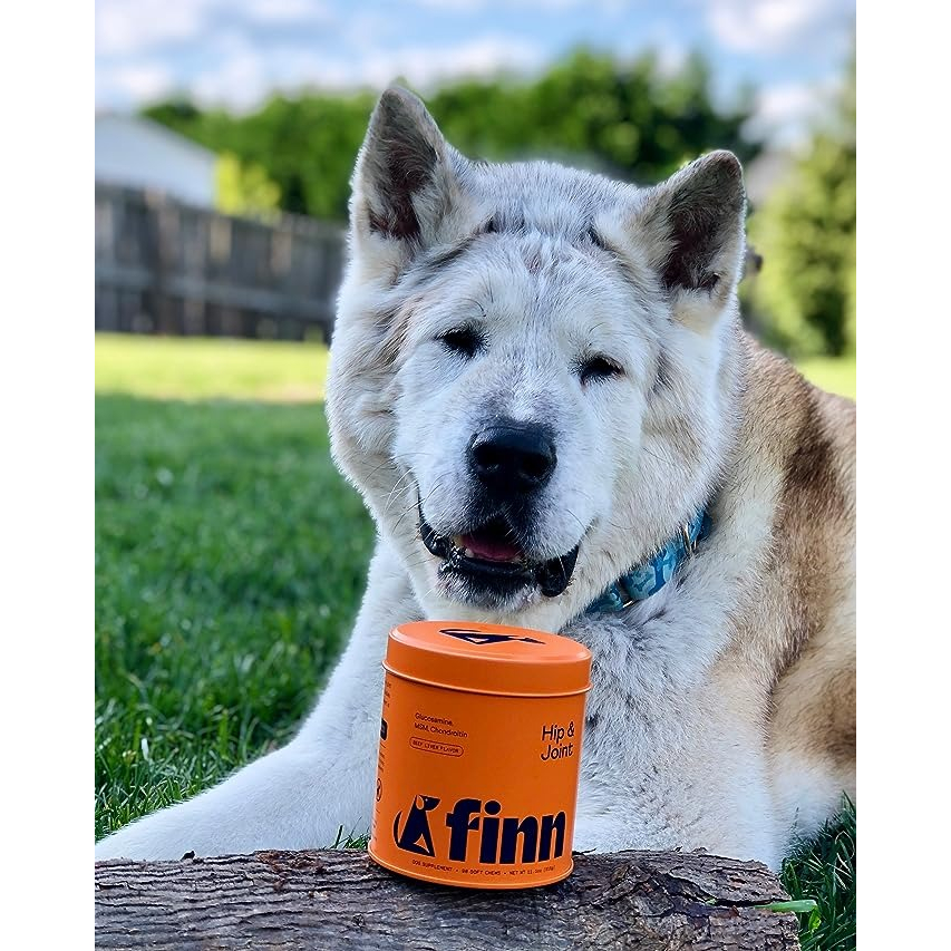 Viên Bổ Nhai Mềm Cải Thiện Hông Khớp Cho Chó, Finn Finn's Hip & Joint, Tăng Cường Linh Hoạt, Tái Tạo Sụn, Giảm Viêm