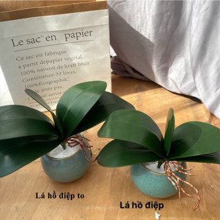 Lá lan, lá hoa hồ điệp chất liệu cao su