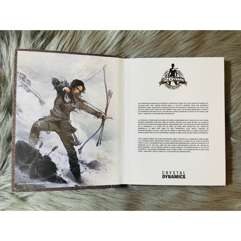 Đĩa Game PS4/PS5 : Rise of the Tomb Raider - 20 Year Celebration