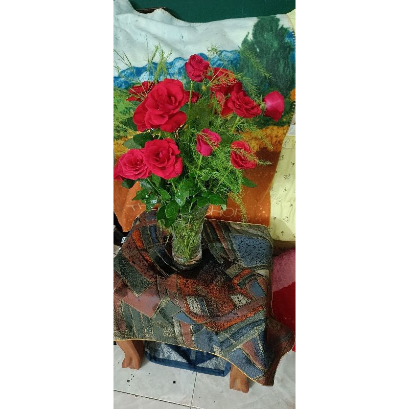 Combo túi của Ioan tran❤❤❤❤