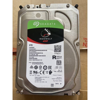 Ổ Cứng HDD Seagate Ironwolf 3.5 inch SATA 3 | Hanki Tech