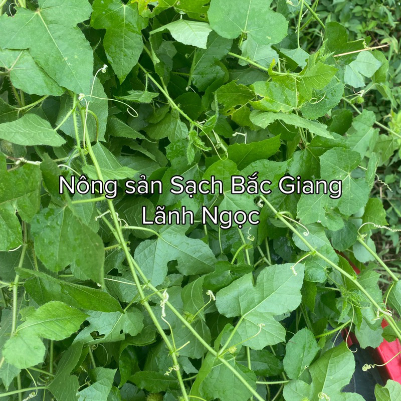 Cây Lạc Tiên Khô 500g