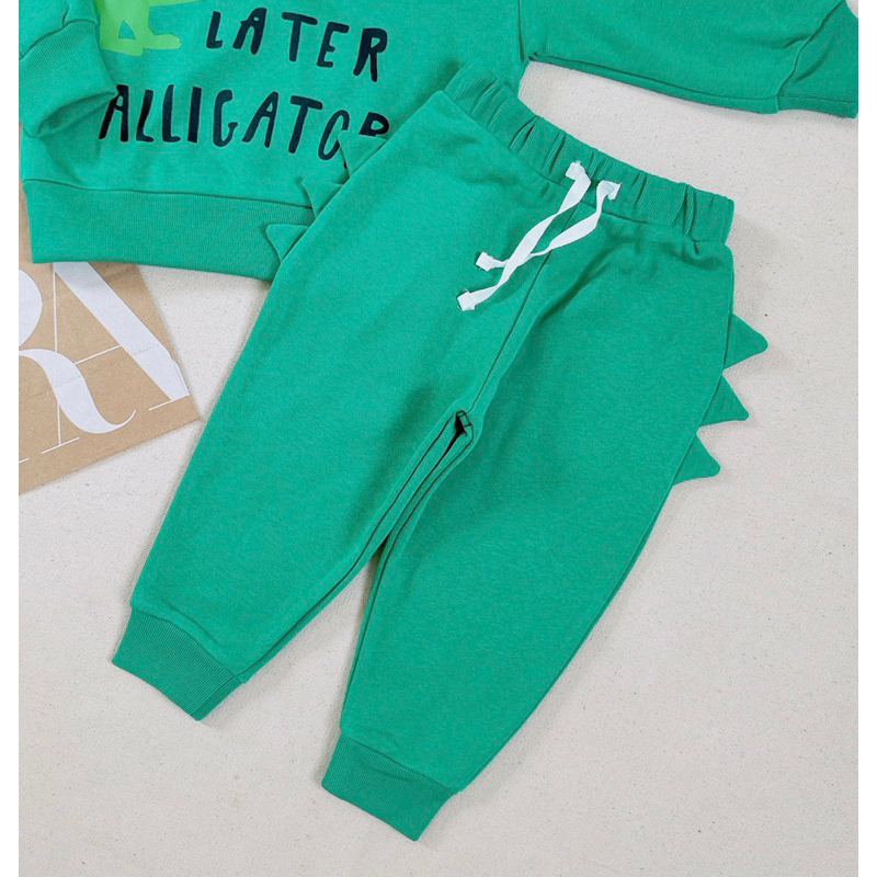 Set bộ nỉ Cá sấu xanh Za.ra cho bé trai siêu đẹp size từ 12-24 cân