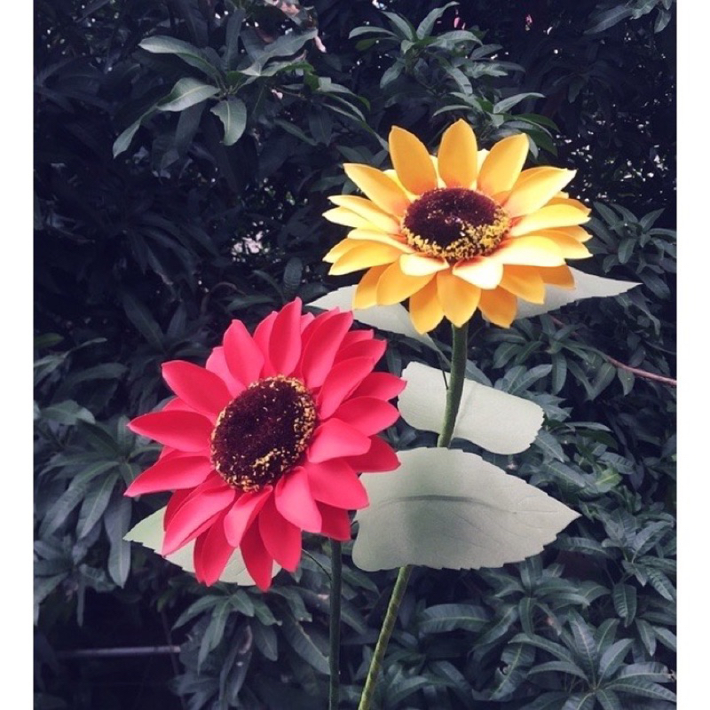 Set làm 10 bông hoa hướng dương