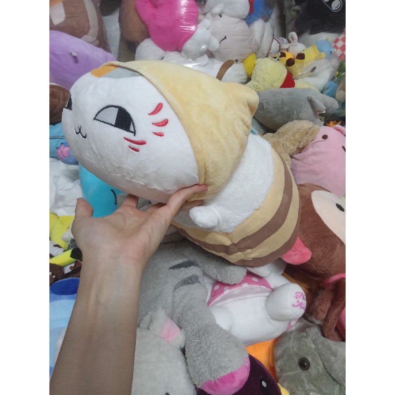 Gấu bông mèo coslay hàng nhật size khoảng 40cm