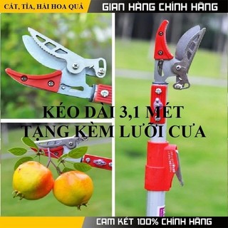 Kéo cắt cành, hái quả trên cao dài 3m, tặng cưa cành