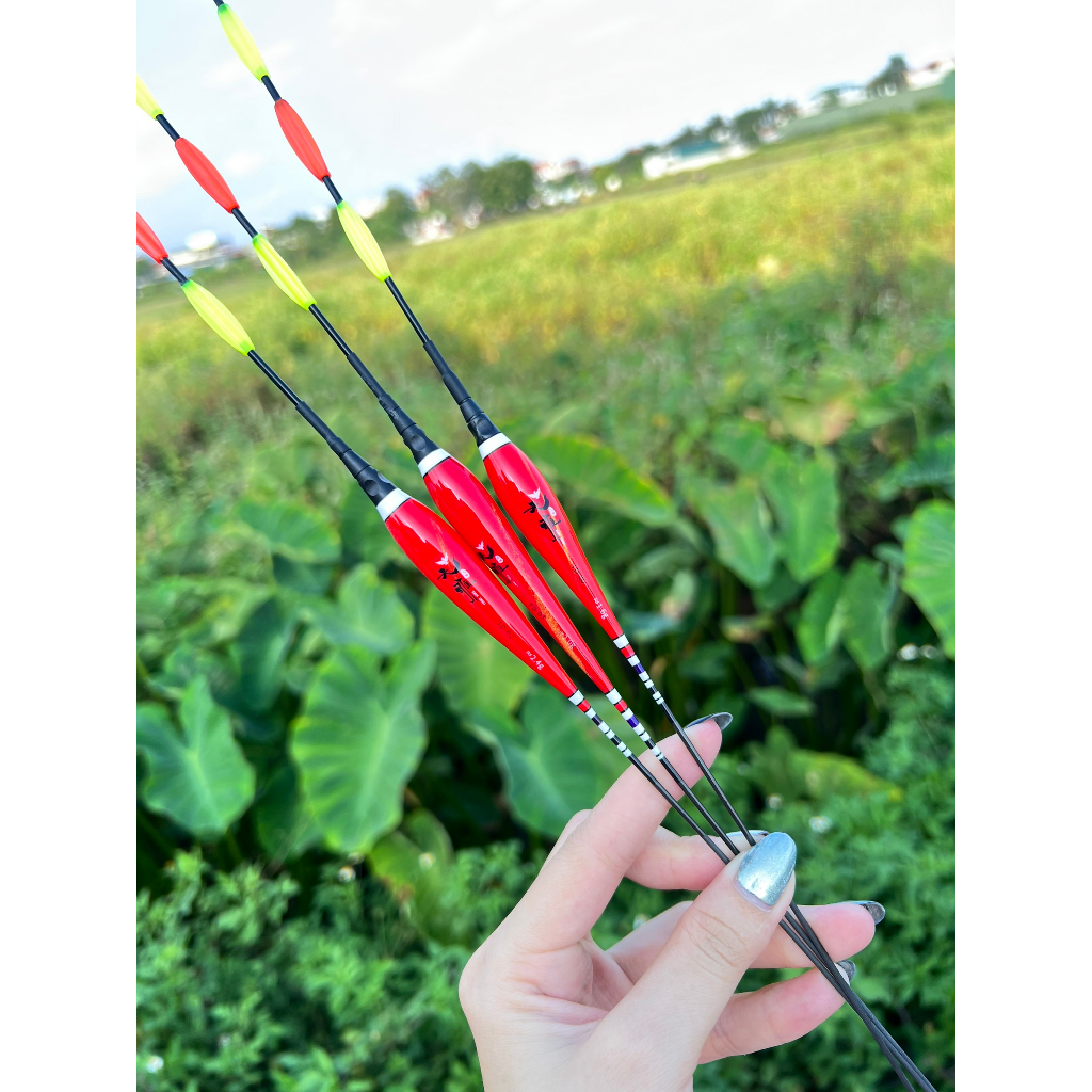 Phao Hố Đấu Đêm Tầm Vương  4 Nấc Cánh Khế