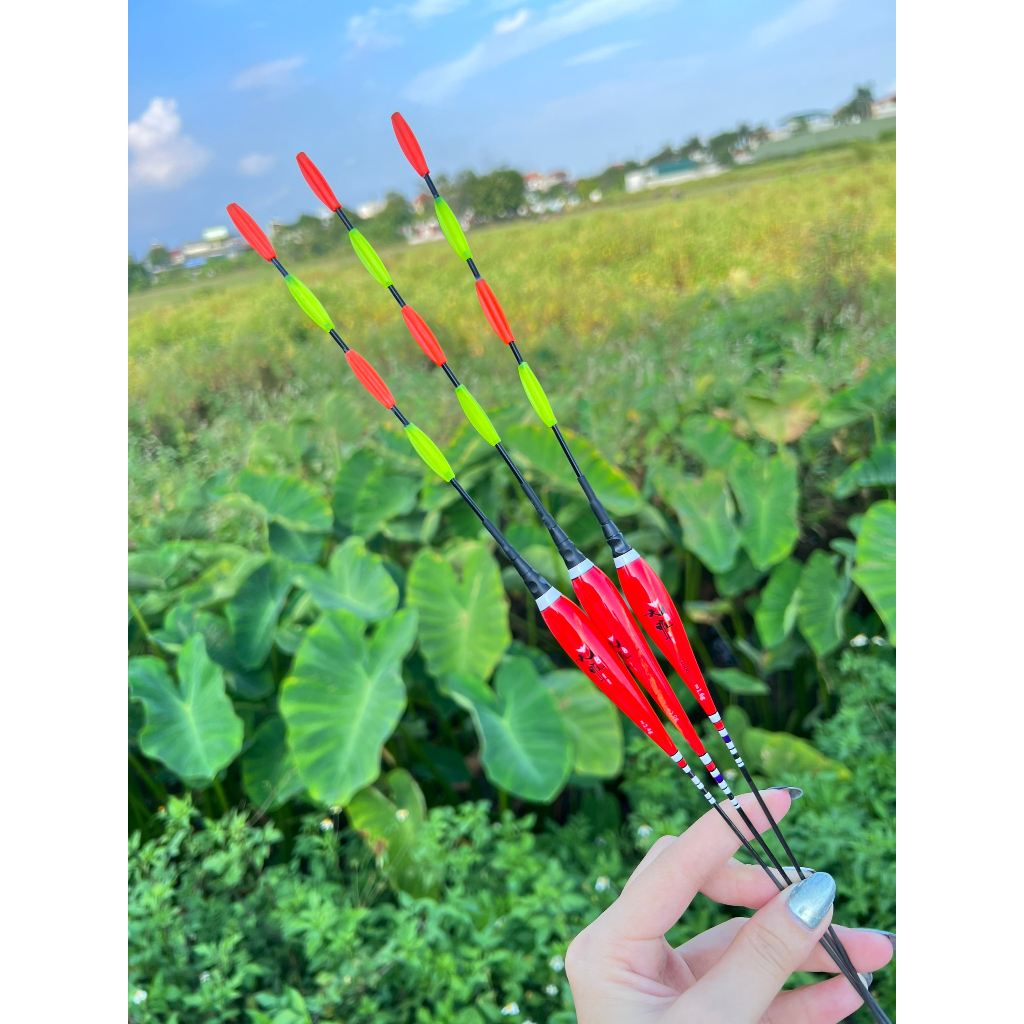 Phao Hố Đấu Đêm Tầm Vương  4 Nấc Cánh Khế