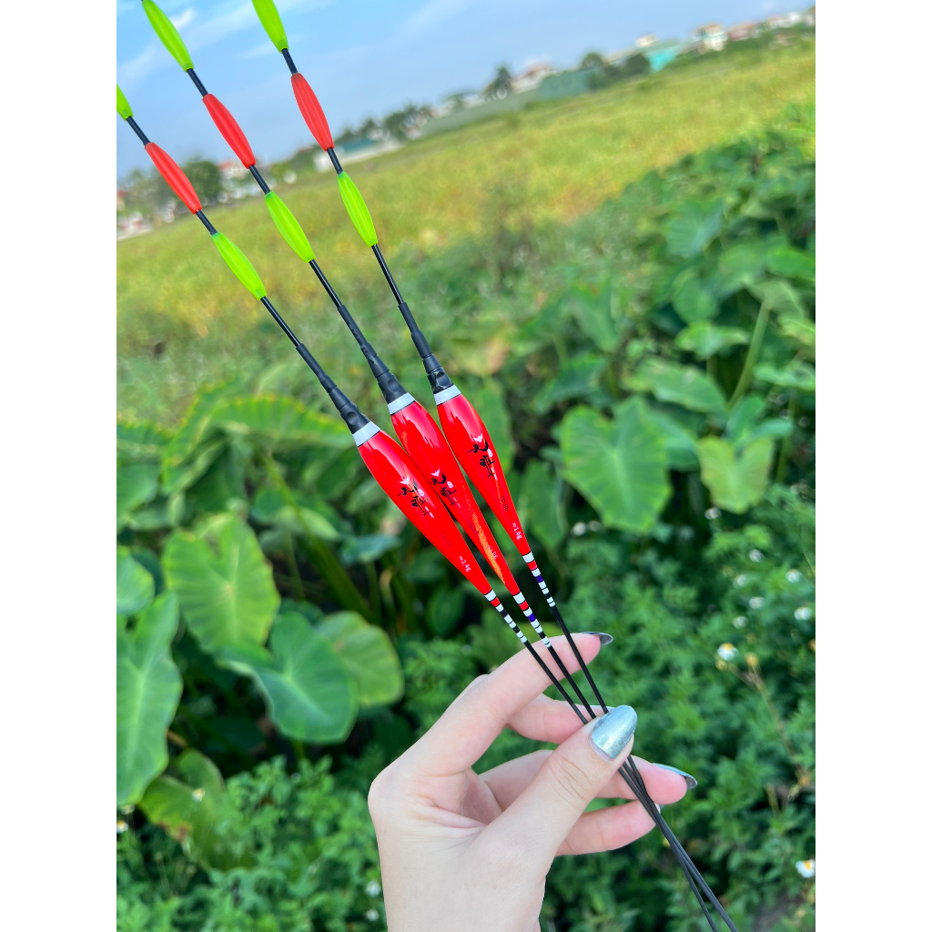 Phao Hố Đấu Đêm Tầm Vương  4 Nấc Cánh Khế