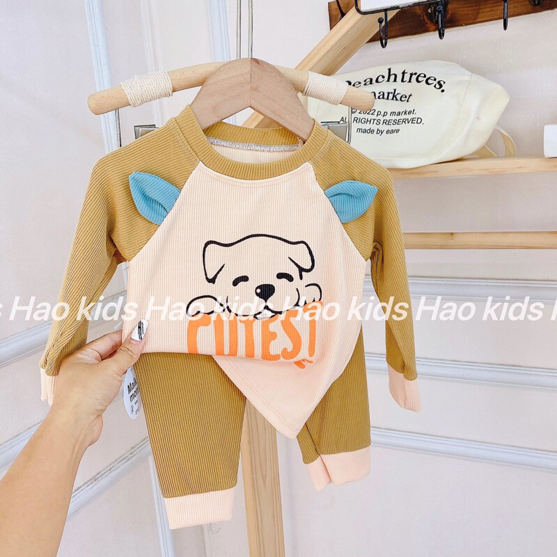 Bộ tăm lạnh dài tay cho bé