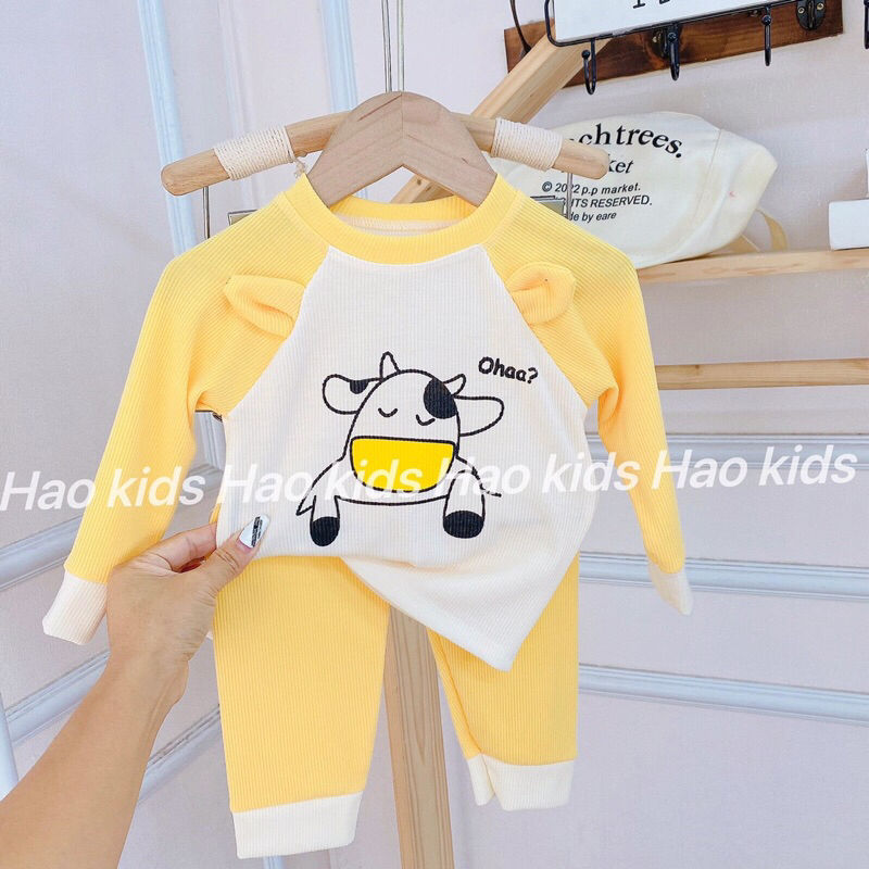 Bộ tăm lạnh dài tay cho bé