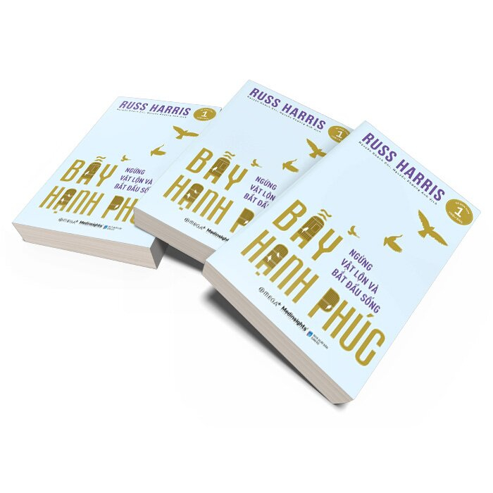 Sách - Bẫy Hạnh Phúc - Ngừng Trăn Trở Và Bắt Đầu Sống