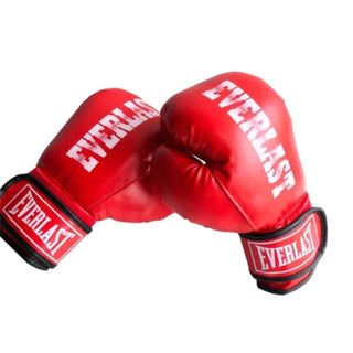 Găng tay đấm bốc Everlast - boxing