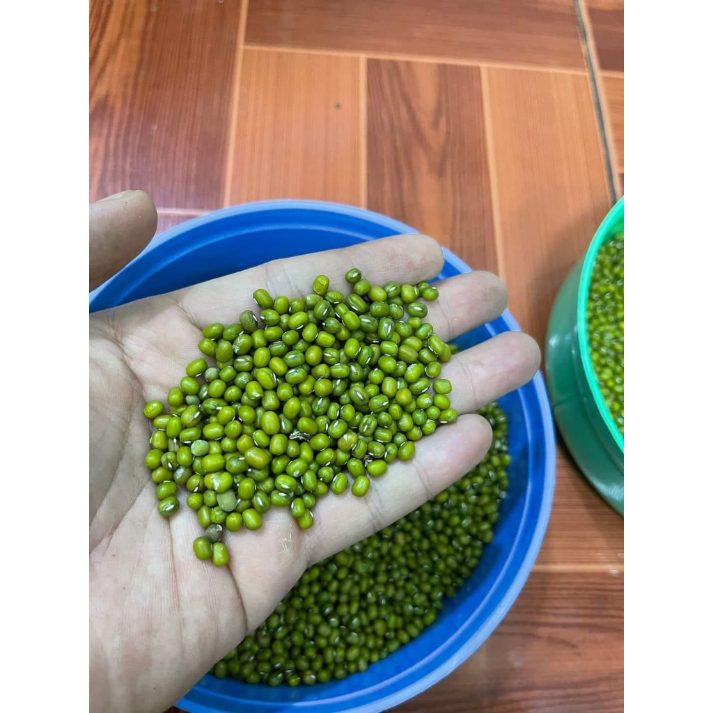 1kg, 500g Đậu xanh hạt nguyên Organic làm giá , nấu chè , nấu xôi